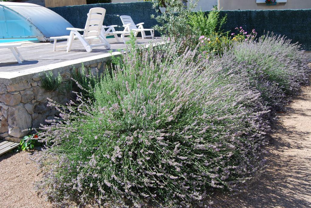 Les Terrasses De Castelmerle Niaux Buitenkant foto